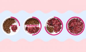Как перевести собаку на натуральный корм - Блог SUPERPET