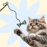 Как сделать игрушку для кошек своими руками - Блог SUPERPET