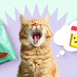 Как сухой корм влияет на мочеиспускание кошки - Блог SUPERPET