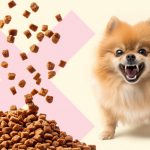 Как сухой корм влияет на зубы собак - Блог SUPERPET