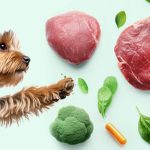Какие витамины и минералы нужны собакам - Блог SUPERPET