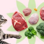 Какие витамины нужны кошкам - Блог SUPERPET