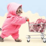 Какой корм выбрать для кошки - Блог SUPERPET