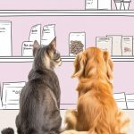 Классы кормов для кошек: как выбрать питание для питомца - Блог SUPERPET