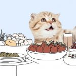 Лакомства со стола: чем угостить кошку - Блог SUPERPET
