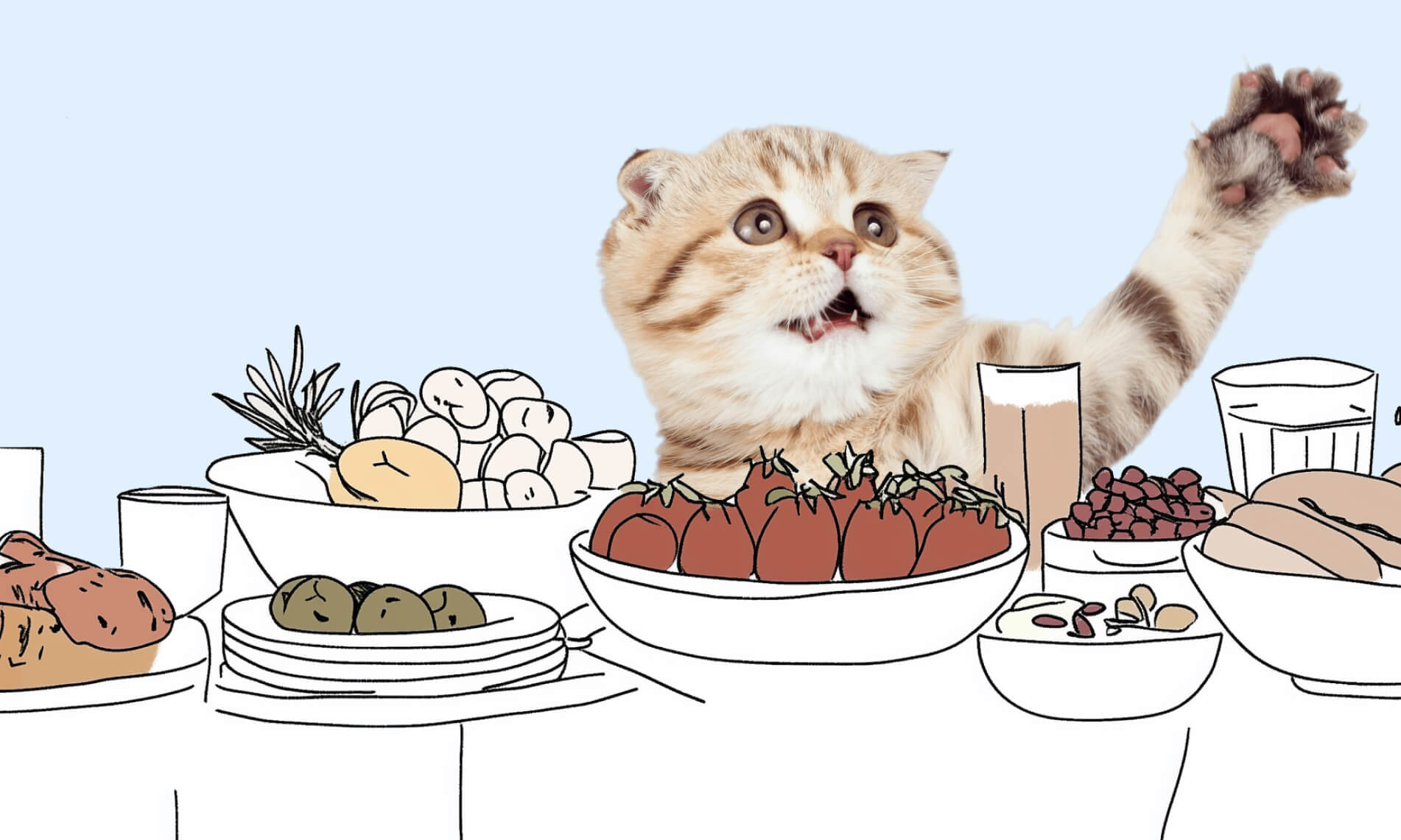 Лакомства со стола: чем угостить кошку - Блог SUPERPET