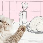 Давать кошкам сырую курицу можно и нужно!