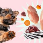 Натуралка для собак: рацион на каждый день при натуральном питании - Блог SUPERPET