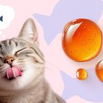 Омега-3 и лососевое масло в питании кошек - Блог SUPERPET