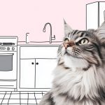 Питание Мейн-кунов: как правильно кормить кота, рацион питания в домашних условиях - Блог SUPERPET