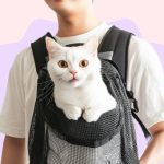 Все о переносках для кошек. Виды переносок для кошек: плюсы и минусы. Как выбрать сумку переноску для кошки - Блог SUPERPET