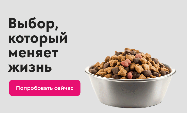 Выбор меняет жизнь