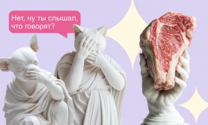 7 распространённых мифов о вреде натурального питания - Блог SUPERPET