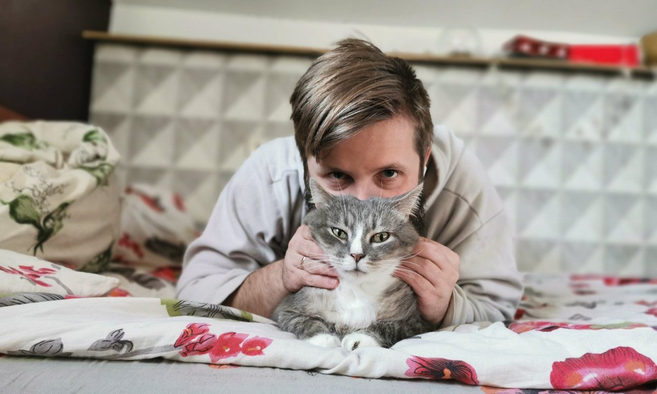 Аллергия на кошек – что вызывает и как лечить - Блог SUPERPET