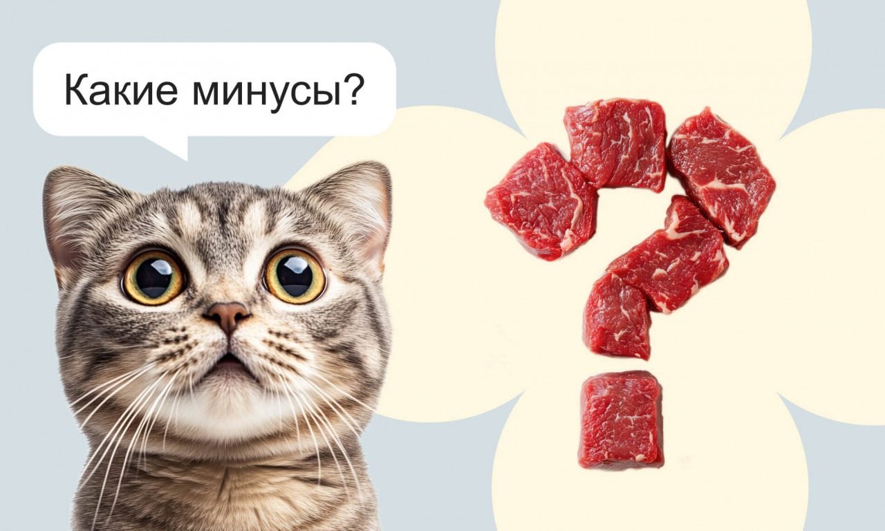 Плюсы и минусы натурального питания - Блог SUPERPET