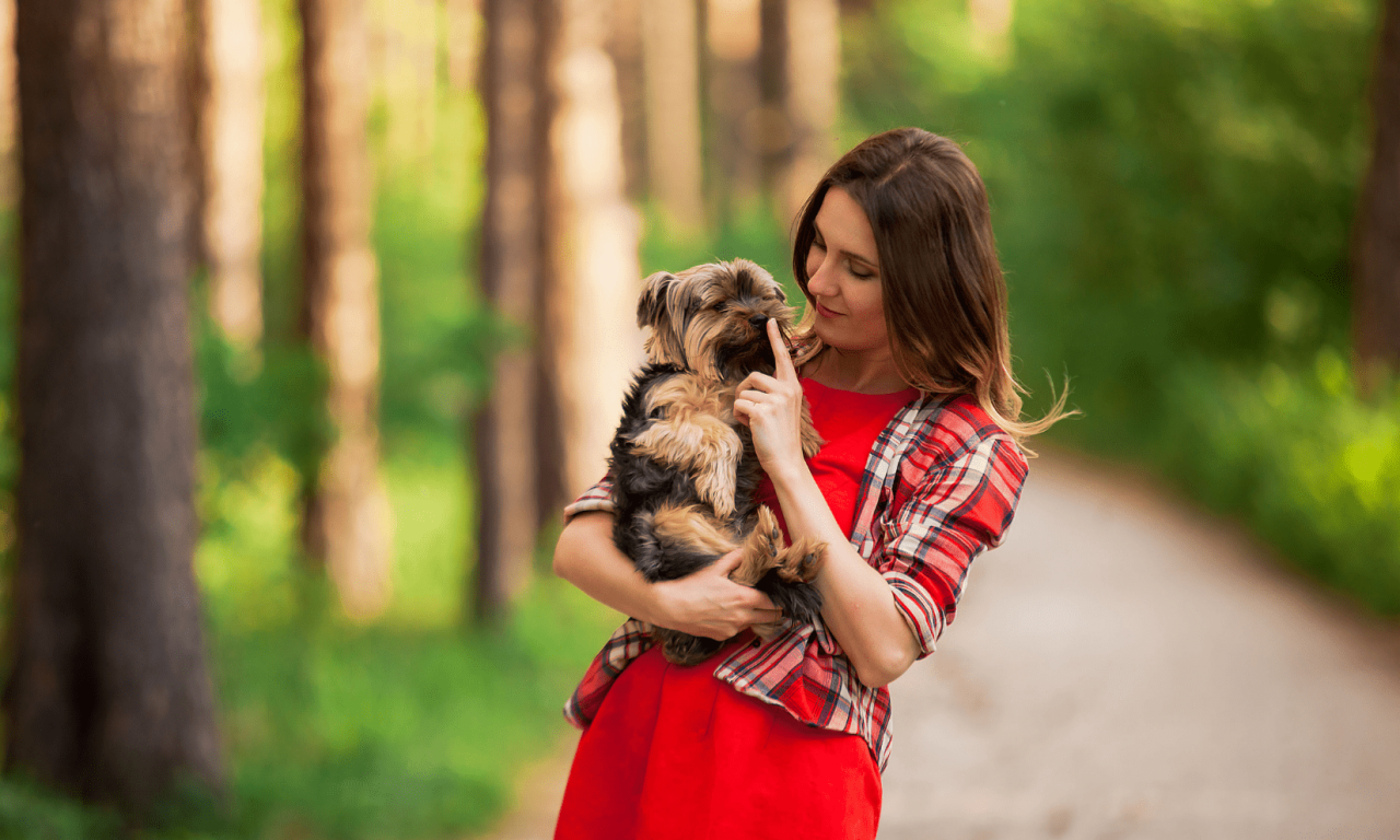 Самые маленькие породы собак - Блог SUPERPET