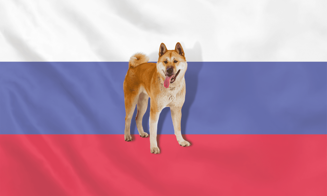 Собаки президента Путина - Блог SUPERPET