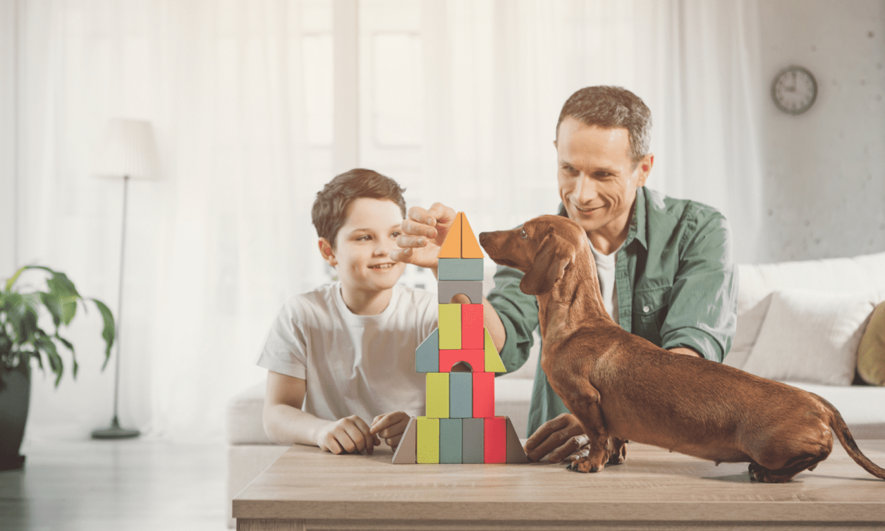 Какие породы собак подходят для квартиры - Блог SUPERPET