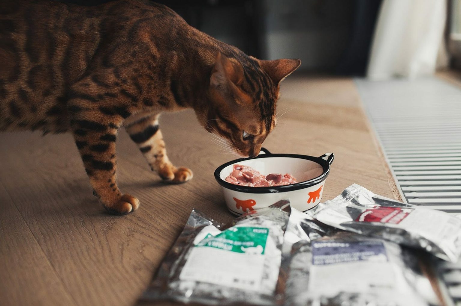 Голодная диета кошки