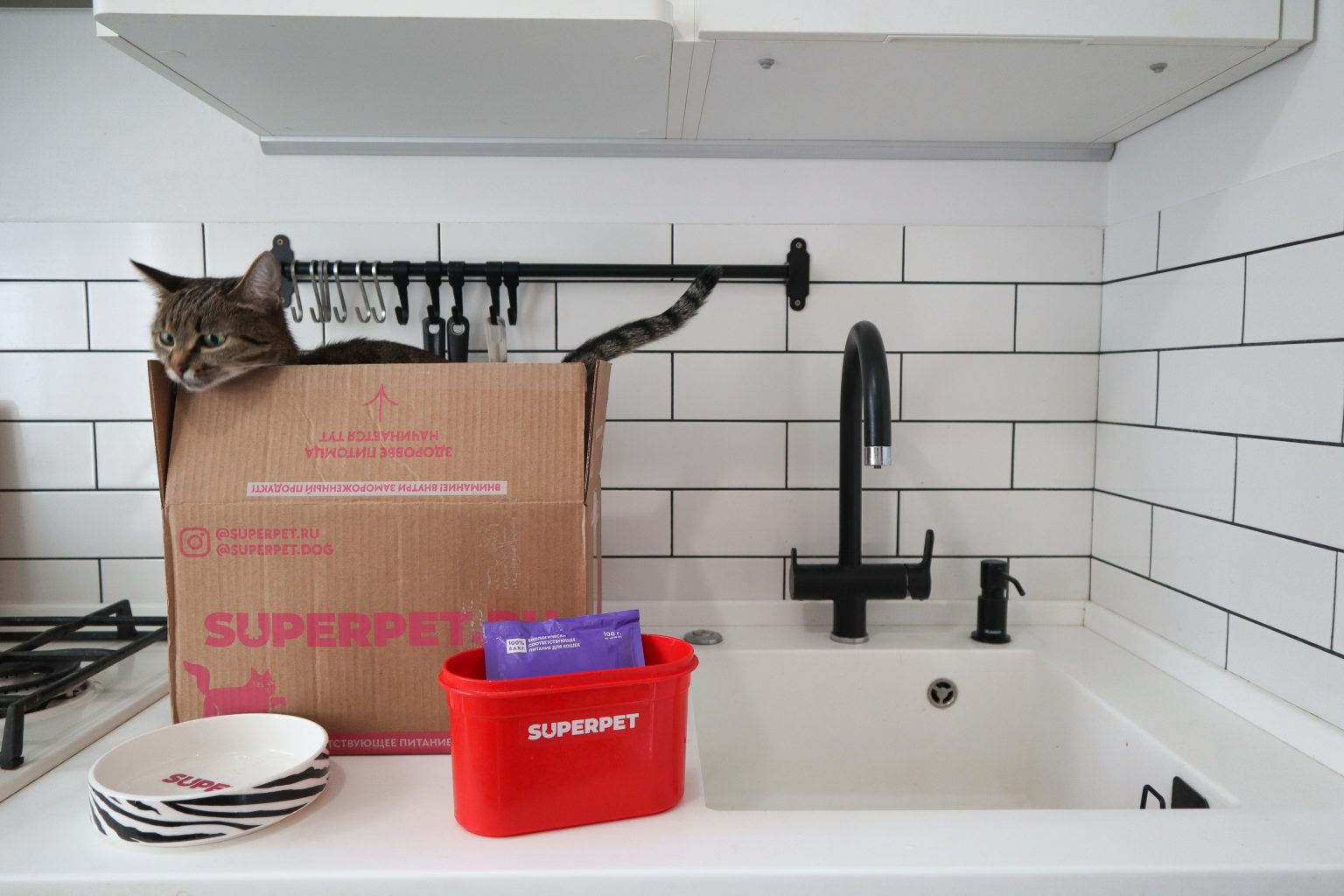 Чем и как правильно кормить кастрированных котов натуральной пищей в ...