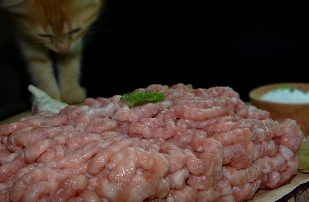 Что не так с натуральным питанием для кошек
