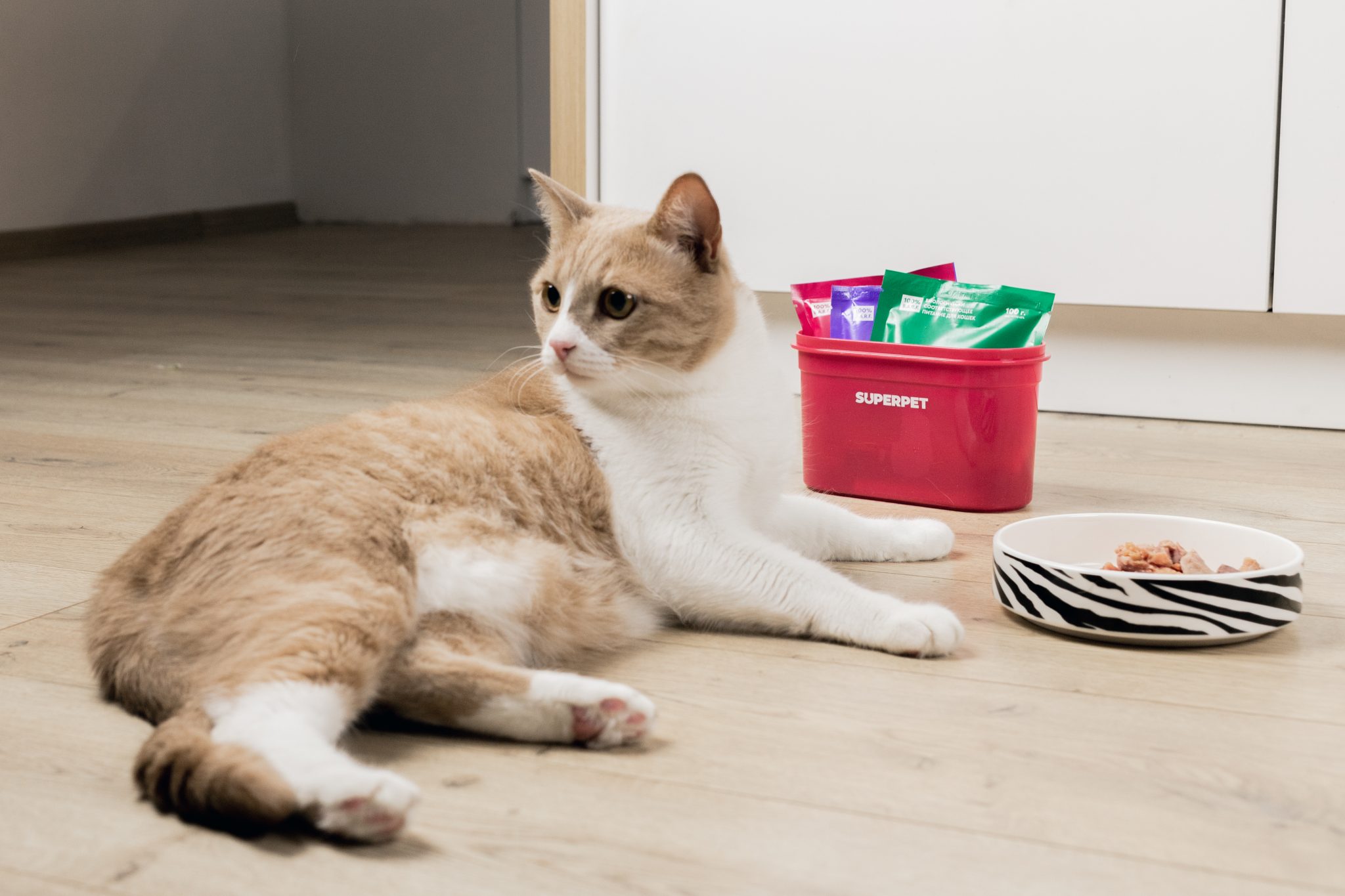 Натуральный корм (натуралка) для кошек: как и чем можно правильно ...