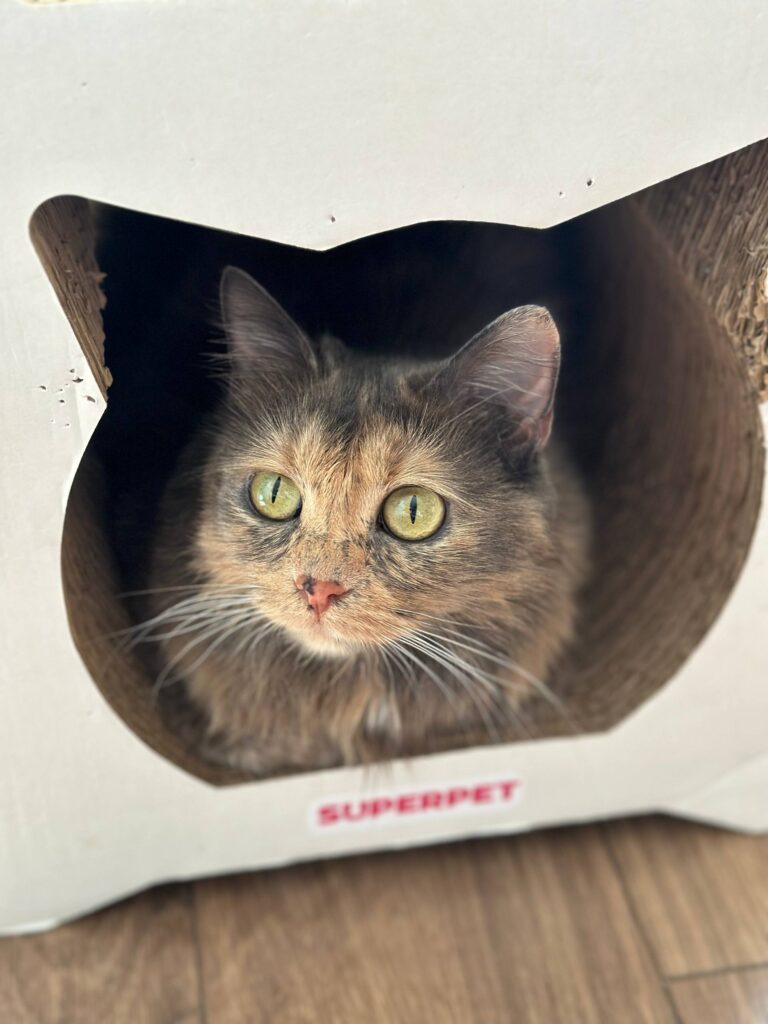 Изображение #1 от Рудик