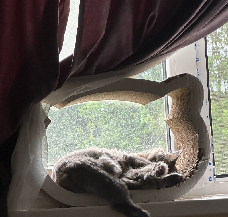 Изображение #1 от Ангелина