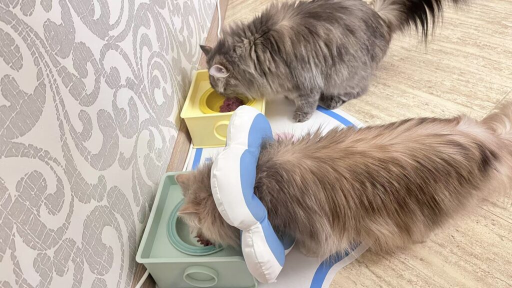 Изображение #5 от Татьяна Дементьева