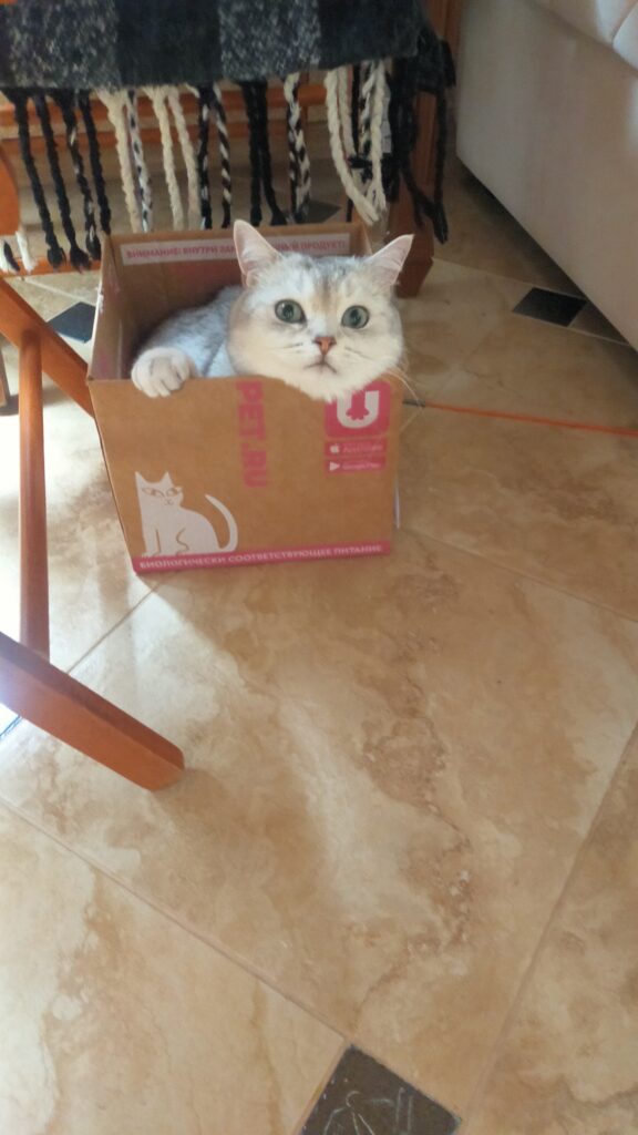 Изображение #2 от Марина