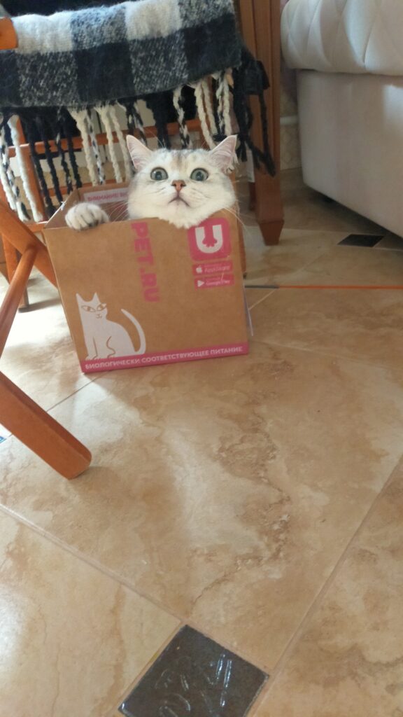 Изображение #1 от Марина