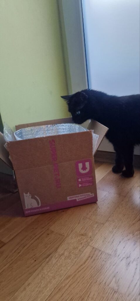 Изображение #2 от Иван Сняцкий