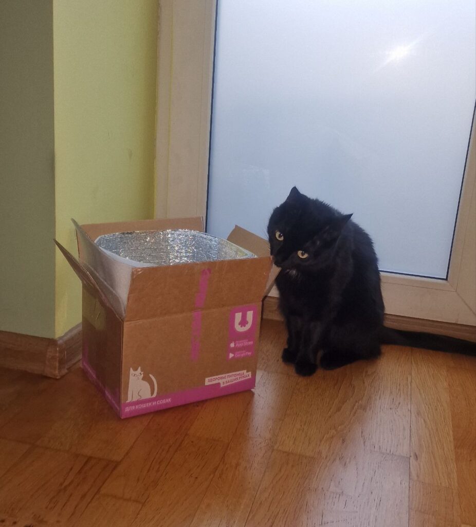 Изображение #3 от Иван Сняцкий