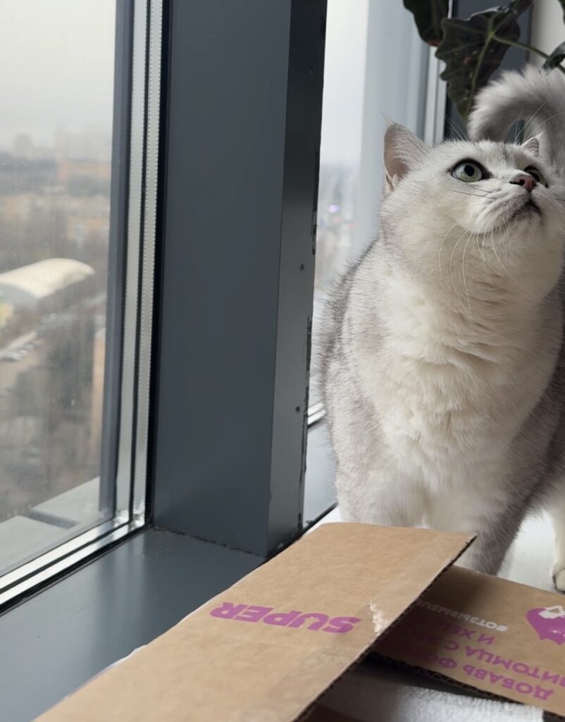 Изображение #1 от Мария