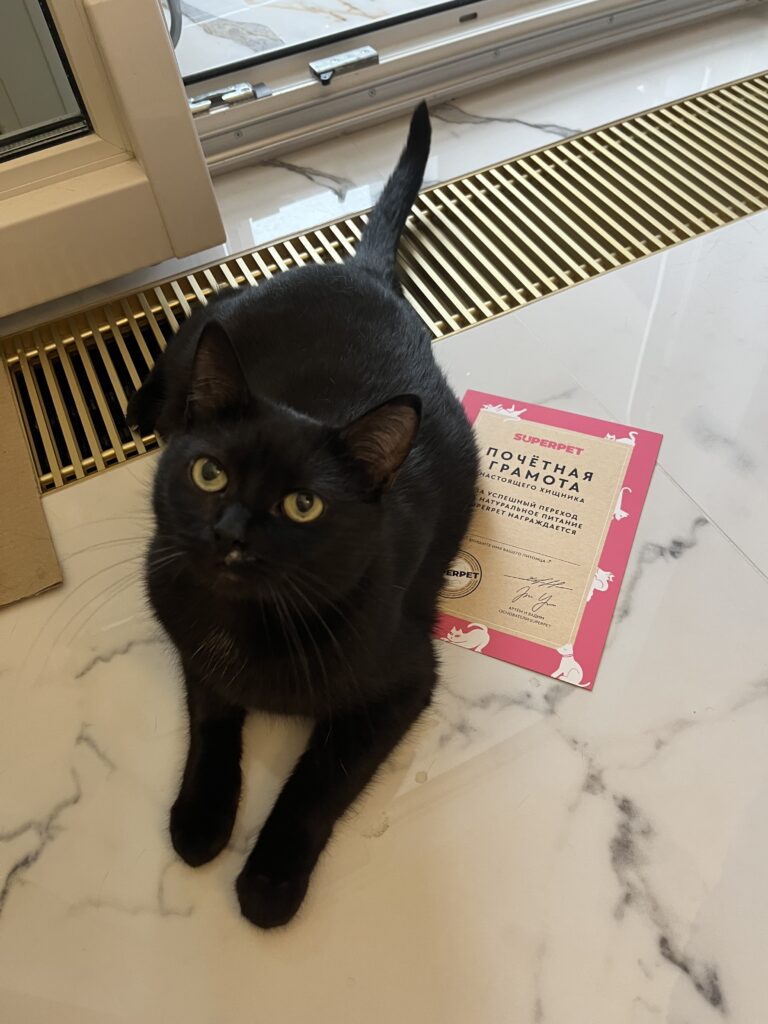 Изображение #1 от Анастасия