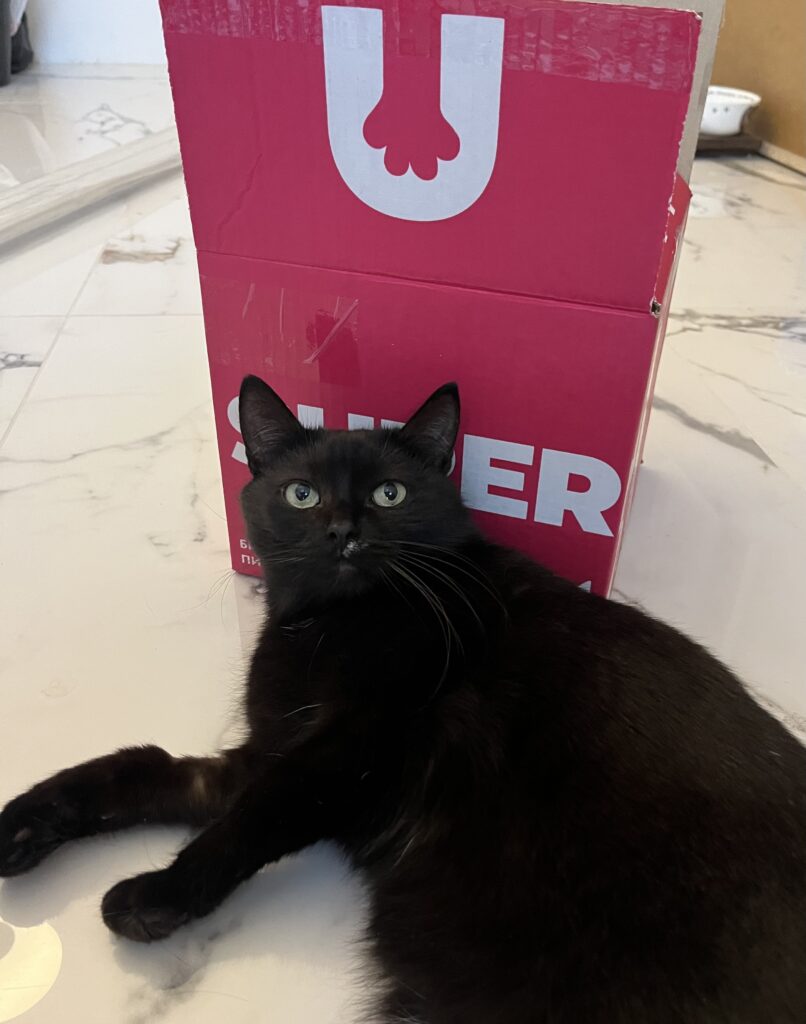 Изображение #2 от Анастасия