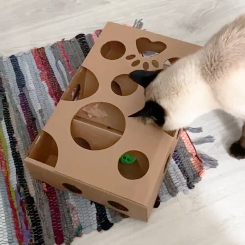 Интерактивная игрушка для кошек - SUPERPET