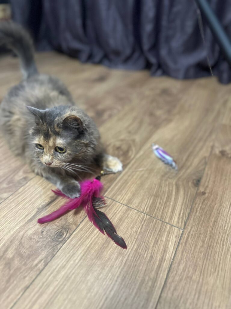 Изображение #1 от Татьяна