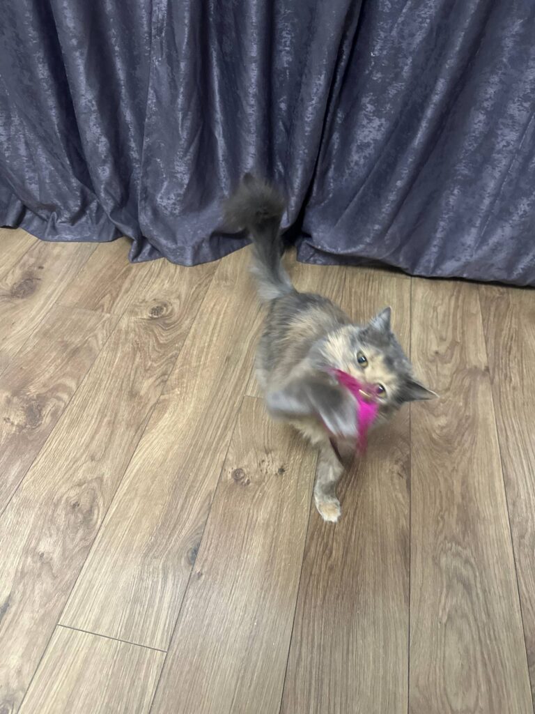 Изображение #2 от Татьяна