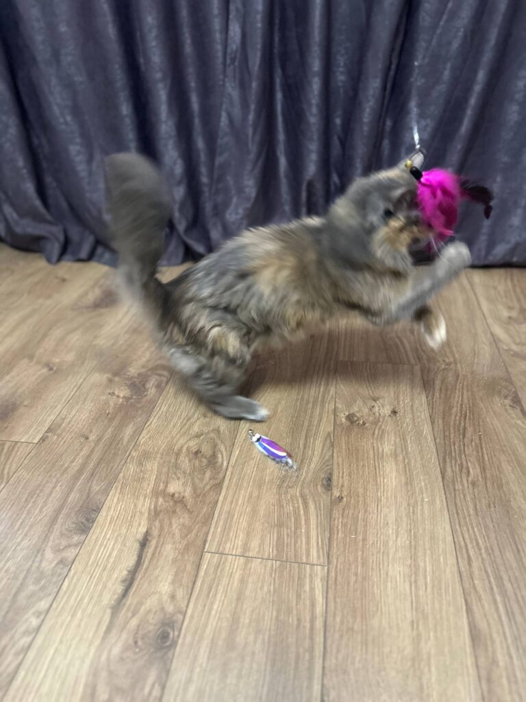 Изображение #3 от Татьяна