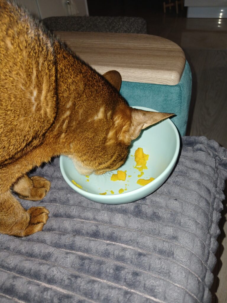 Изображение #1 от Елена Дроздова