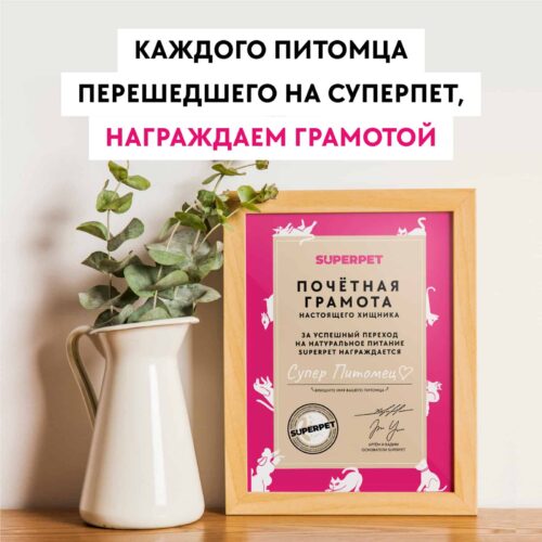 Почётная грамота - SUPERPET