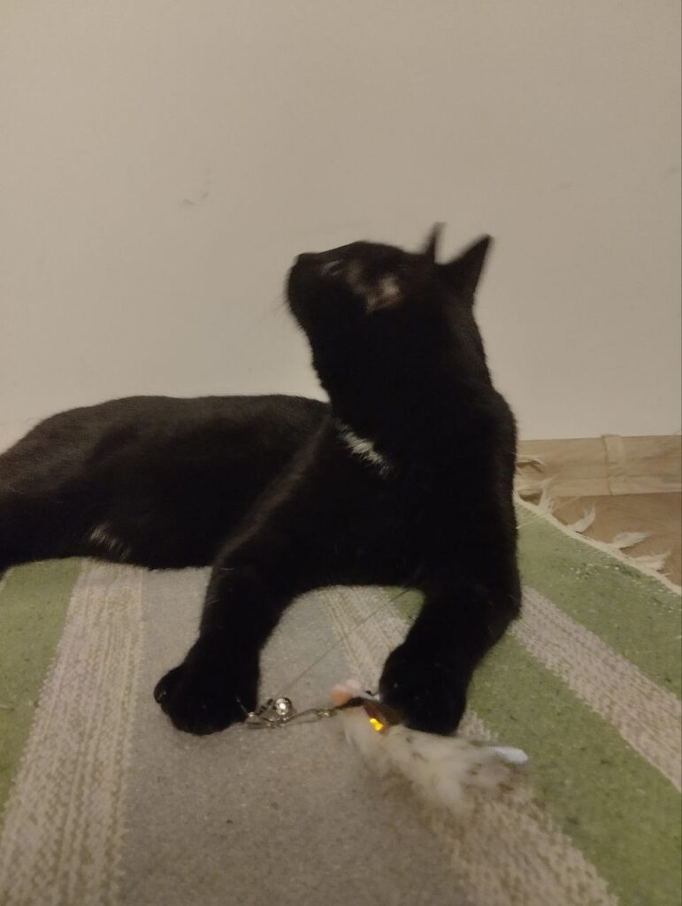 Изображение #1 от Рудичка