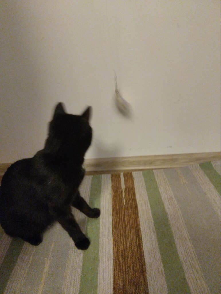 Изображение #2 от Рудичка