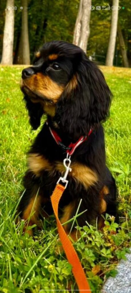 Изображение #2 от Юлия Константинова