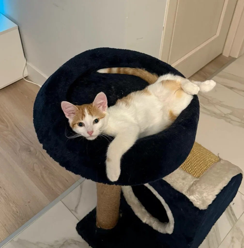 Изображение #1 от Виталий