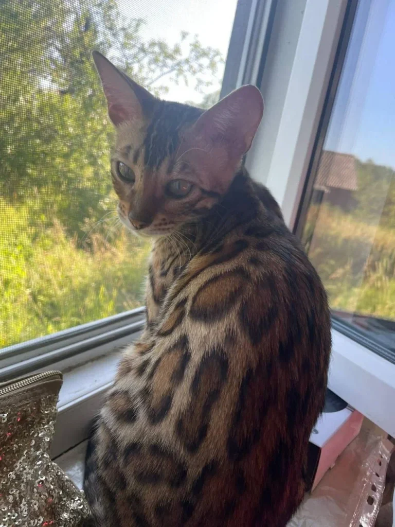 Изображение #1 от Наташа