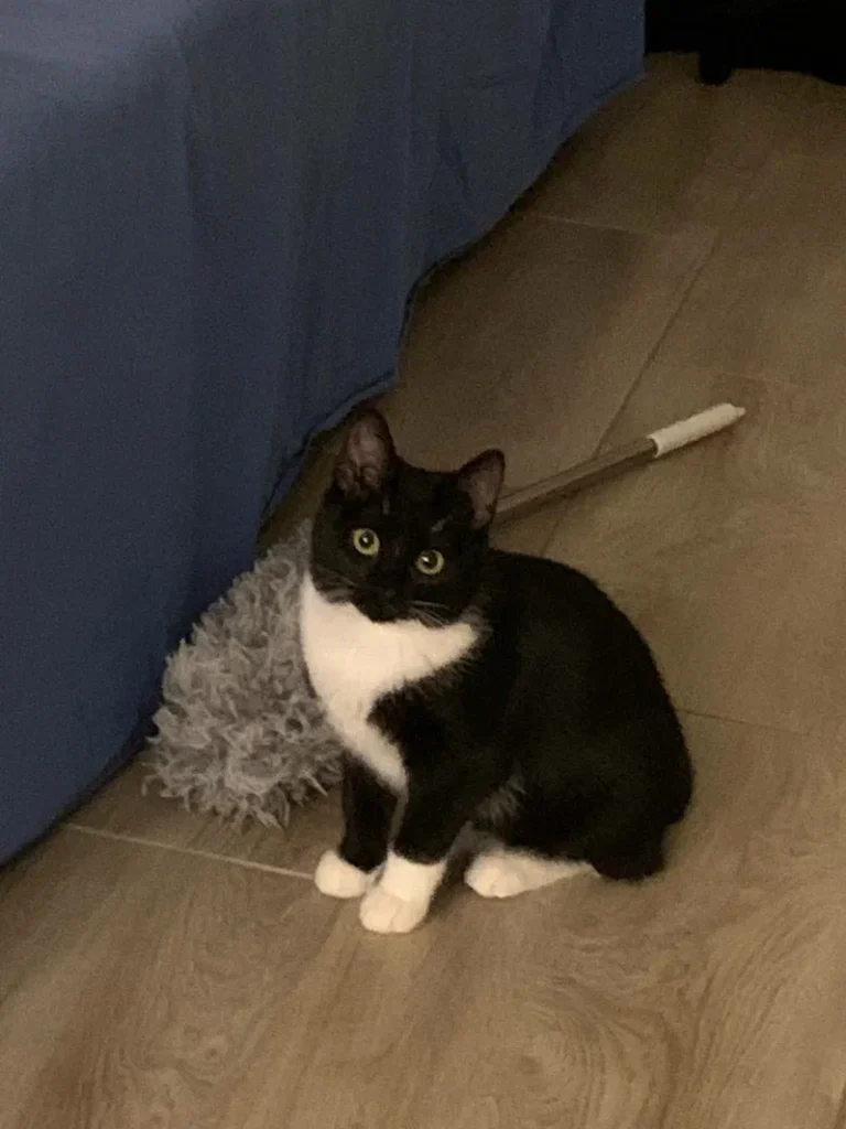 Изображение #1 от Иришка