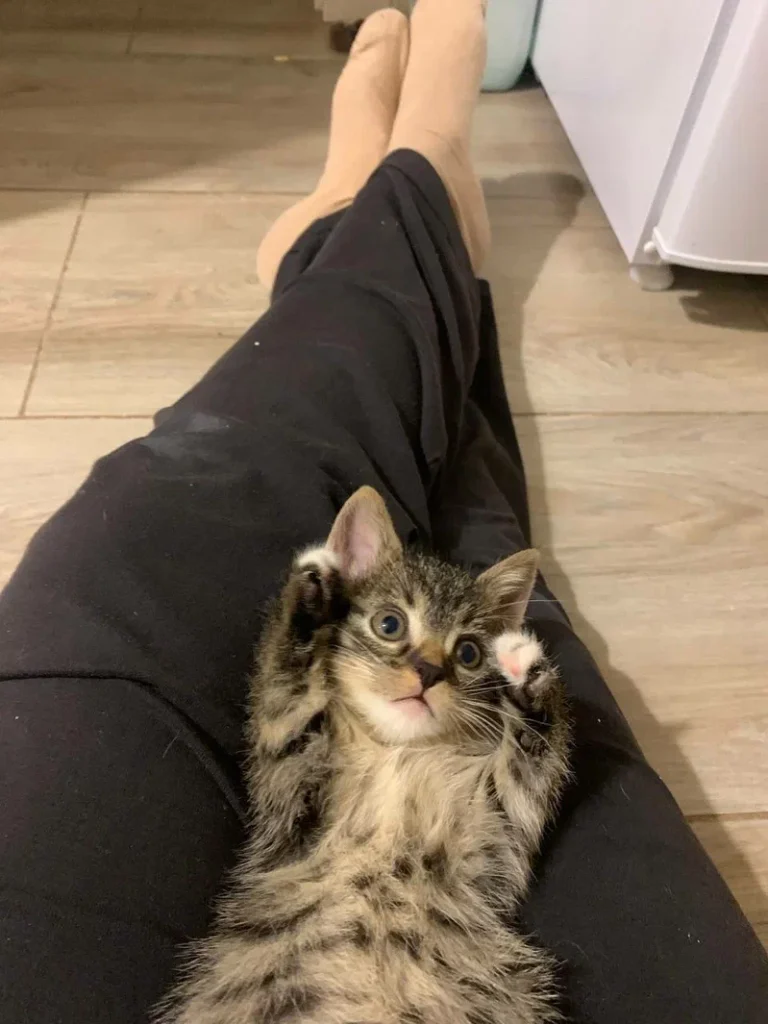 Изображение #1 от Заитова Ариана