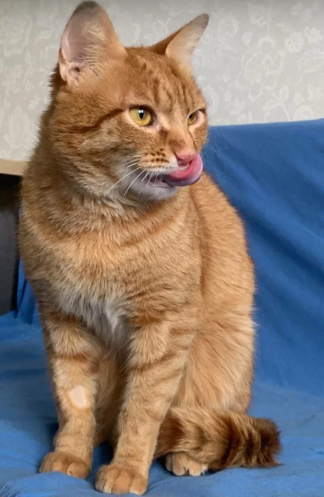 Изображение #1 от Светлана и Кузя